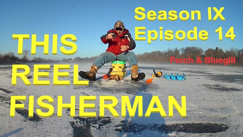 Catch the Big One in UK's Ice Fishing Live Casino Games